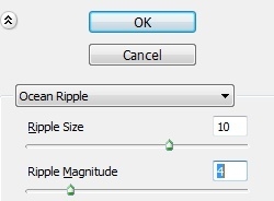 step6-1.jpg