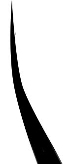 step9-1.jpg