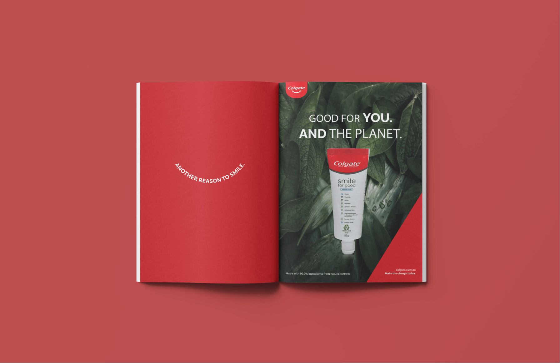 aimee-li-colgate-book.png
