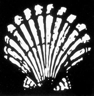 Raymond Loewy's 1971 Shell pecten redesign — yellow scallop on red ground
