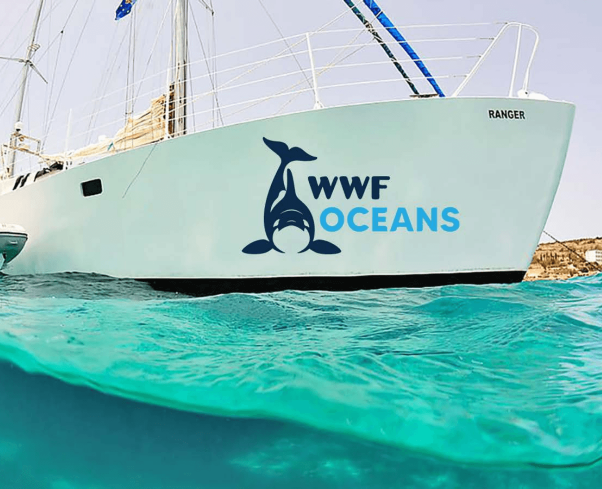 nme-wwf-boat.png