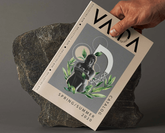 vaida-mockup.png