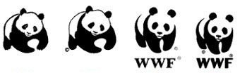 NL_WWF_1.jpg